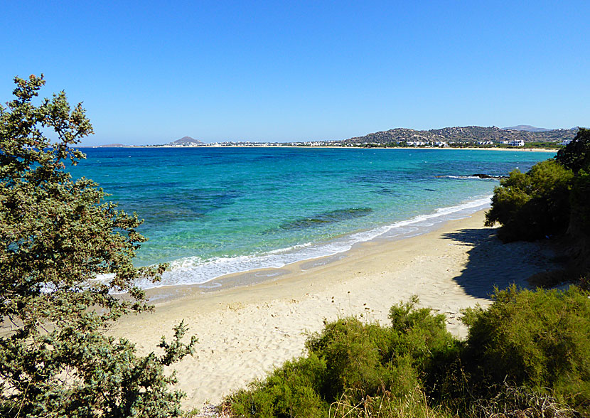 Naxos bästa stränder. Orkos beach.