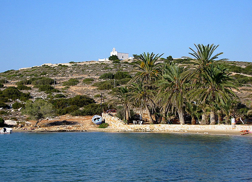 Paros bästa stränder. Agia Irini  beach.