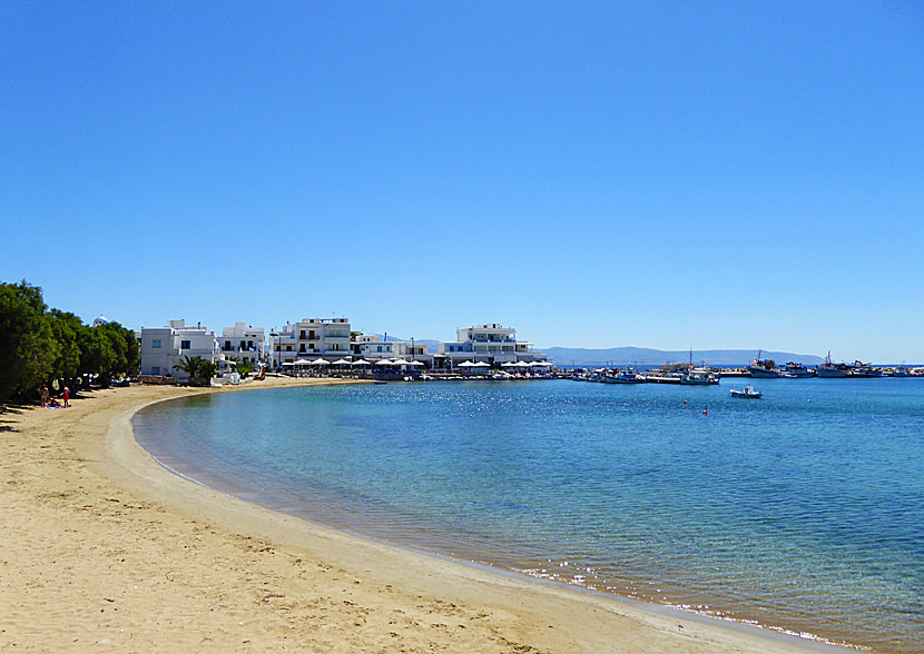 Paros bästa stränder. Piso Livadi beach.