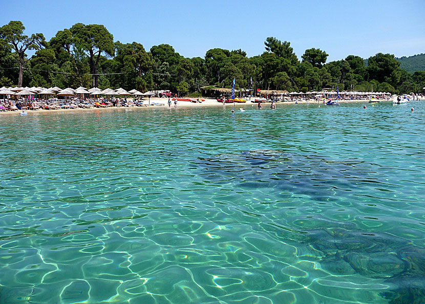 Koukounaries beach på Skiathos.