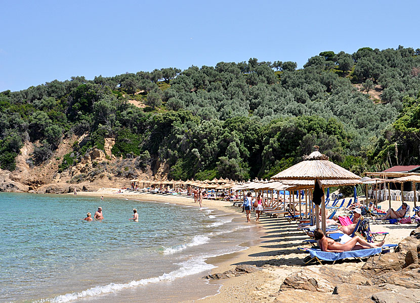 Little banana beach på Skiathos.