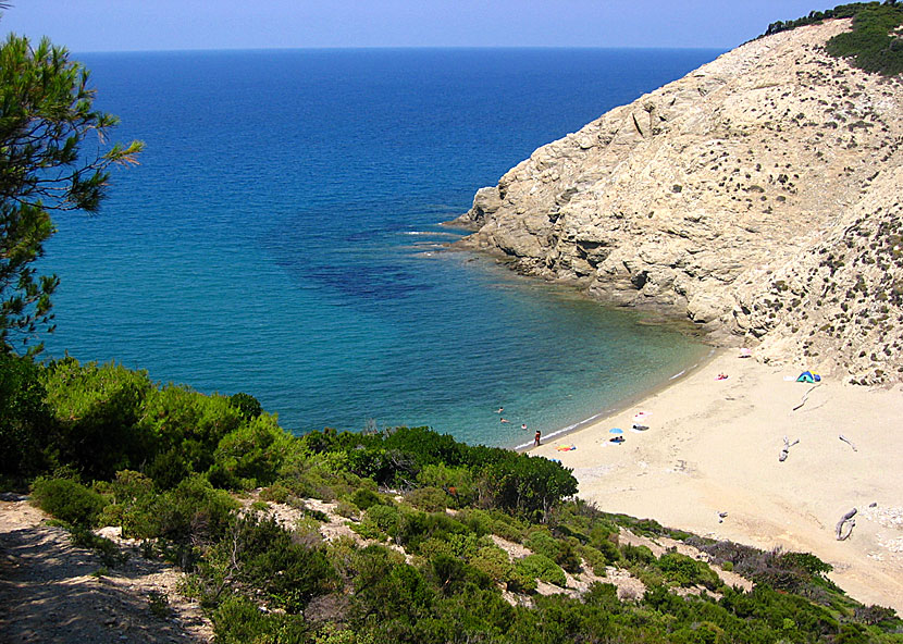 Mikro Aselinos beach på Skiathos.