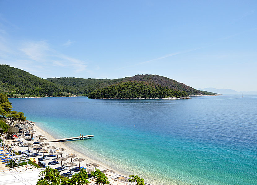 Adrina beach på Skopelos.