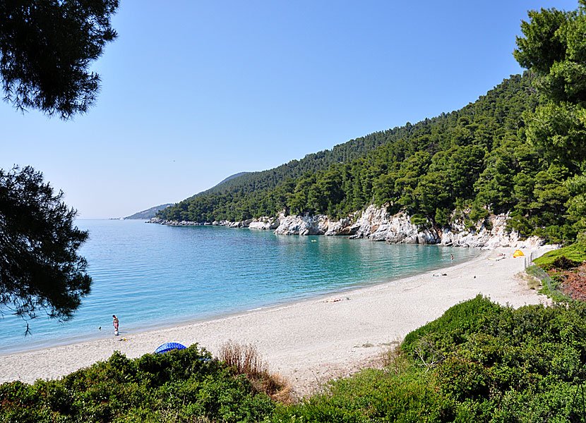 Kastani beach på Skopelos.