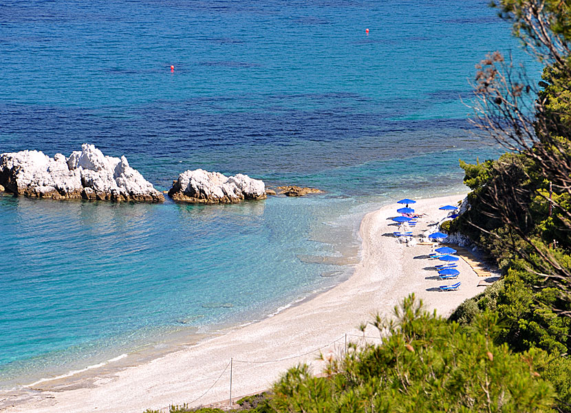 Milia beach på Skopelos.