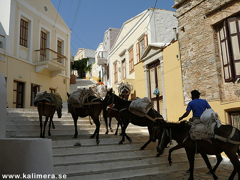 Trappan Kalistrata på Symi.