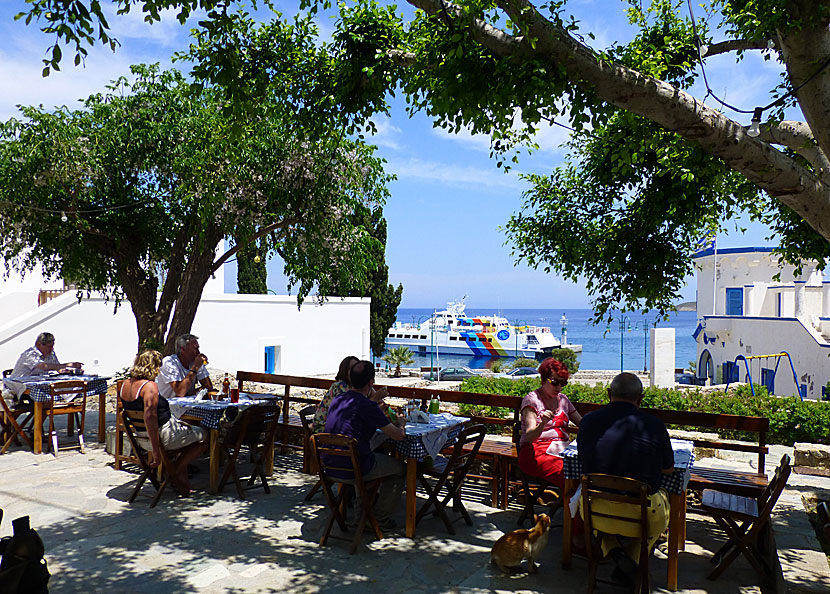 Ouzeria Omonia i Livadia på Tilos