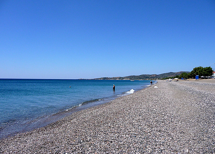 Vatera beach på Lesbos.