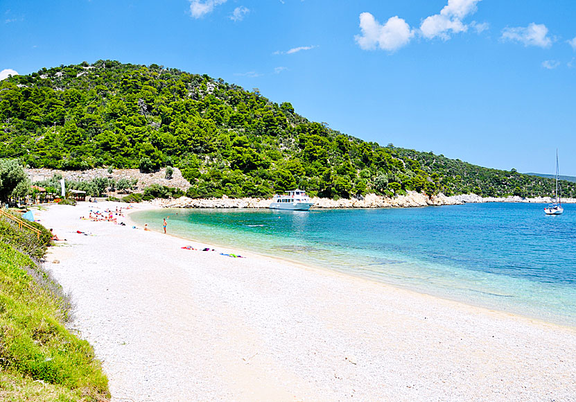 Leftos Gialos. Alonissos. Kreikka.