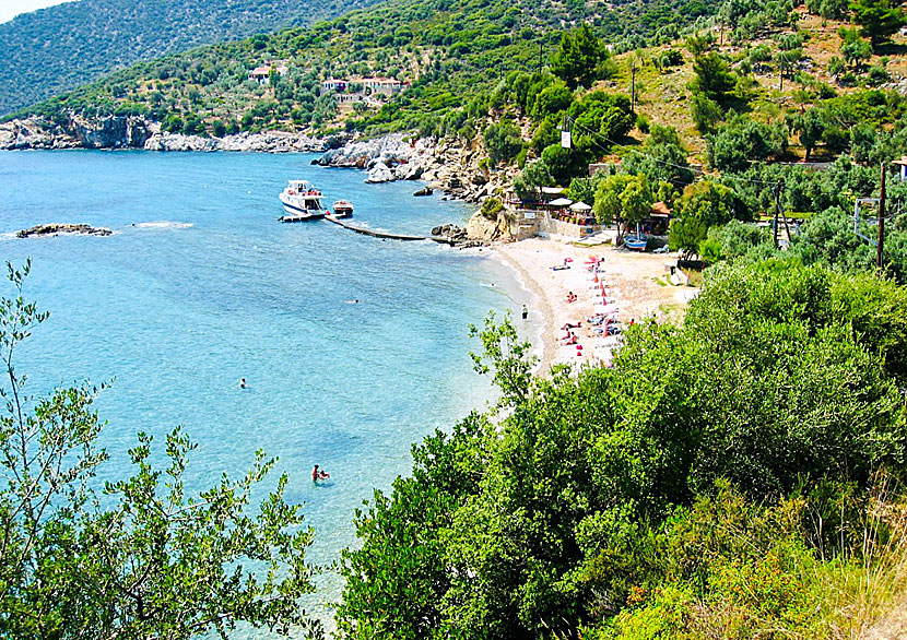 Missa inte Megalos Mourtias beach när du reser till Chora på Alonissos.