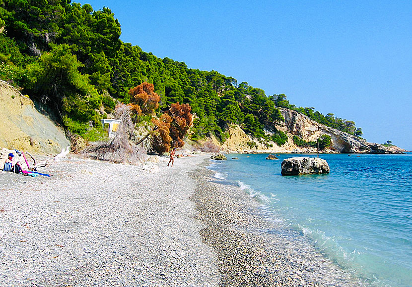 Alonissos bästa stränder. Vythisma beach.