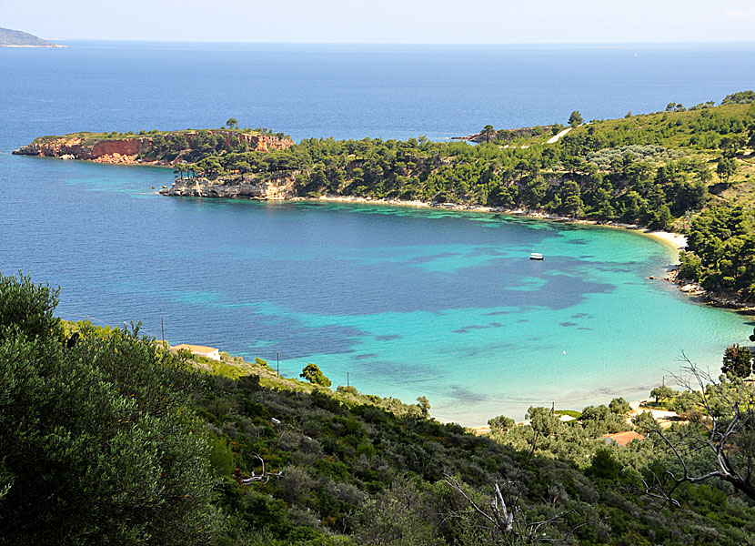 Alonissos bästa stränder. Tzortzi Gialos beach.