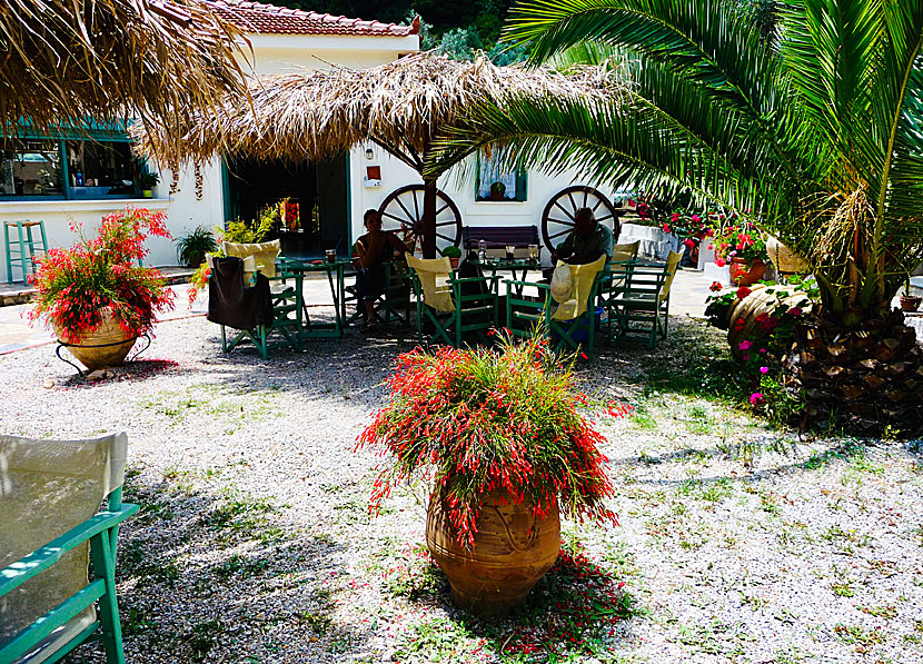 Eleonas Restaurant i Leftos Gialos på Alonissos.