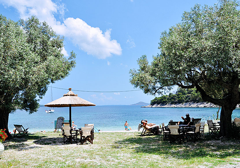 Skuggande träd och solstolar på Leftos Gialos beach när Patitiri.