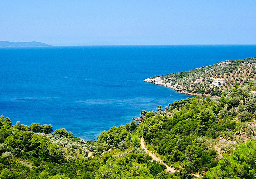 Vägen till Megali Ammos beach på Alonissos går genom ett oerhört vackert landskap. 