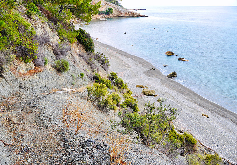 Stigen ner till Vythisma beach på Alonissos är brant och inget för dig som har dåliga knän.