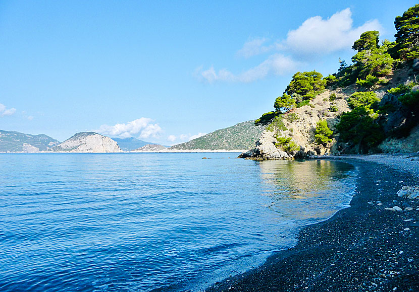 Vythisma beach på ön Alonissos i Grekland.