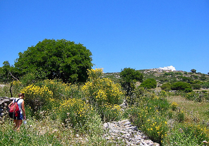 Missa inte att vandra till klostret Agios Theologos när du är i Langada på Amorgos i Kykladerna. 