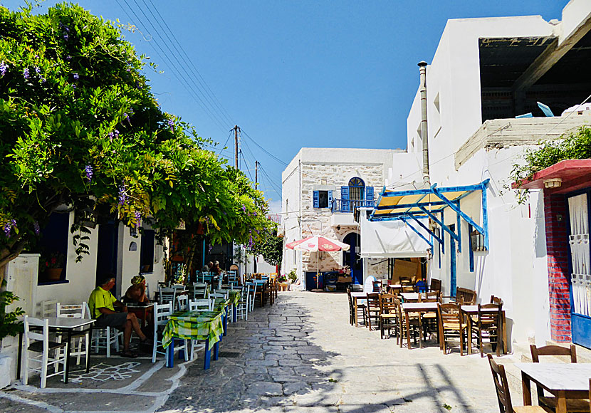 Taverna Loza i Langada på Amorgos i Grekland.