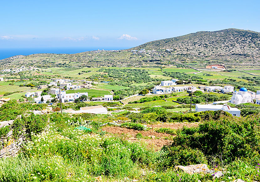 Missa inte att äta lunch i den mysiga byn Arkesini när du reser till Amorgos.