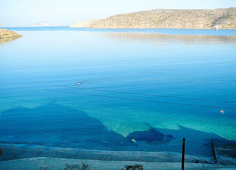 Eleni beach i Katapola på Amorgos.