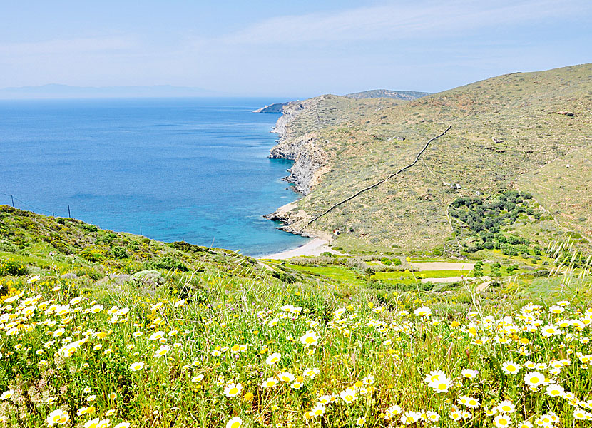 Amorgos bästa stränder. Lefkes beach.