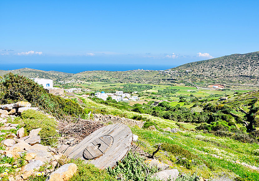 Vandra mellan byarna Rachoula, Arkesini, Kalofana och Kalotaritissa på södra Amorgos. 