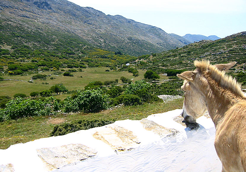 Utsikt från det obebodda klostret Agios Theologos ovanför Langada på Amorgos. 