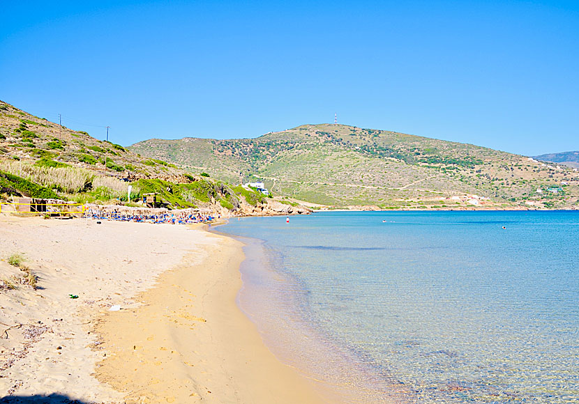 Chryssi Ammos beach på Andros, även kallad Golden Sand beach.