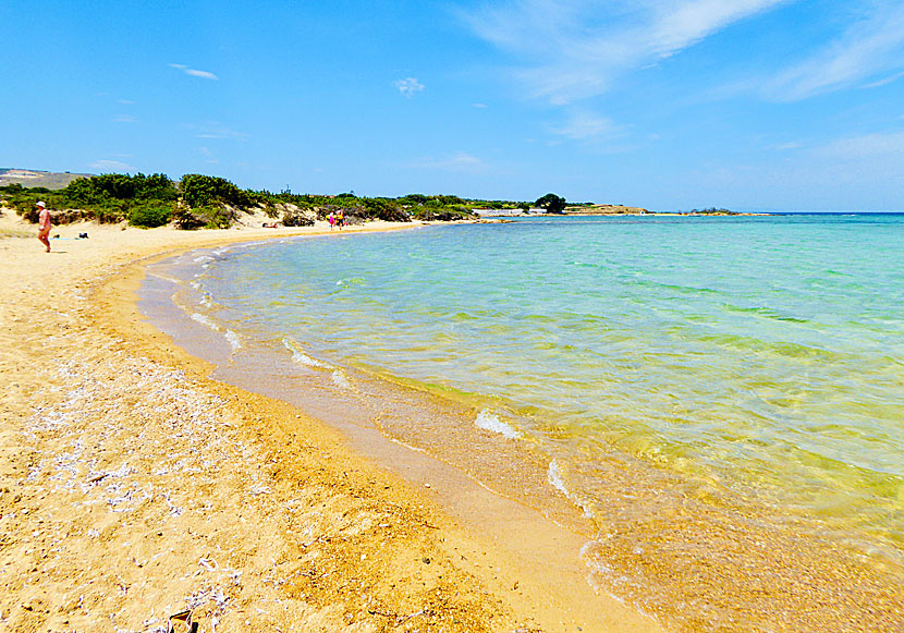 Nudist beach på Antiparos i Kykladerna.