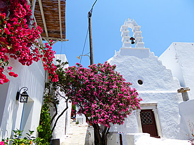 Resebrev och bloggar från Grekland 2010. Amorgos.