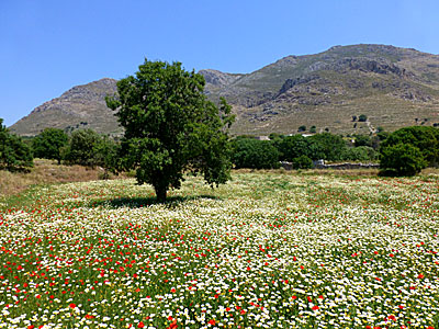 Greklands turistsäsonger. Kalimera.