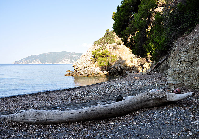 Anywhere i lay my head med Tom Waits på Vythisma beach på Alonissos i Grekland.