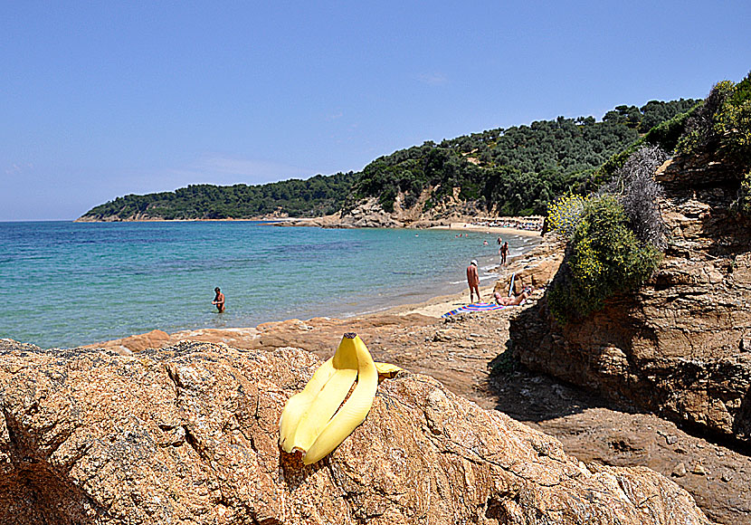 Little Banana beach. Skiathos. Greece.