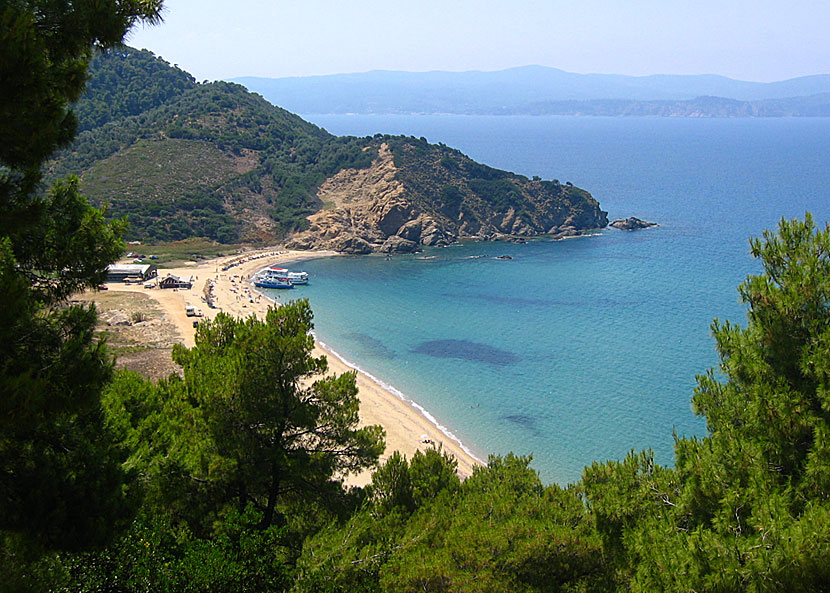 Megalos Aselinos beach på Skiathos.