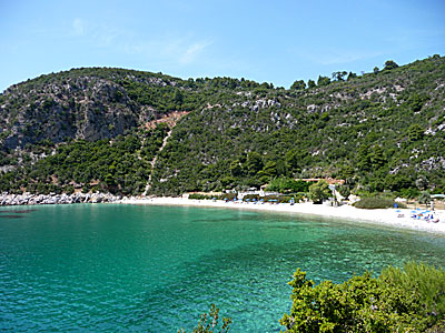 Skopelos bästa stränder .