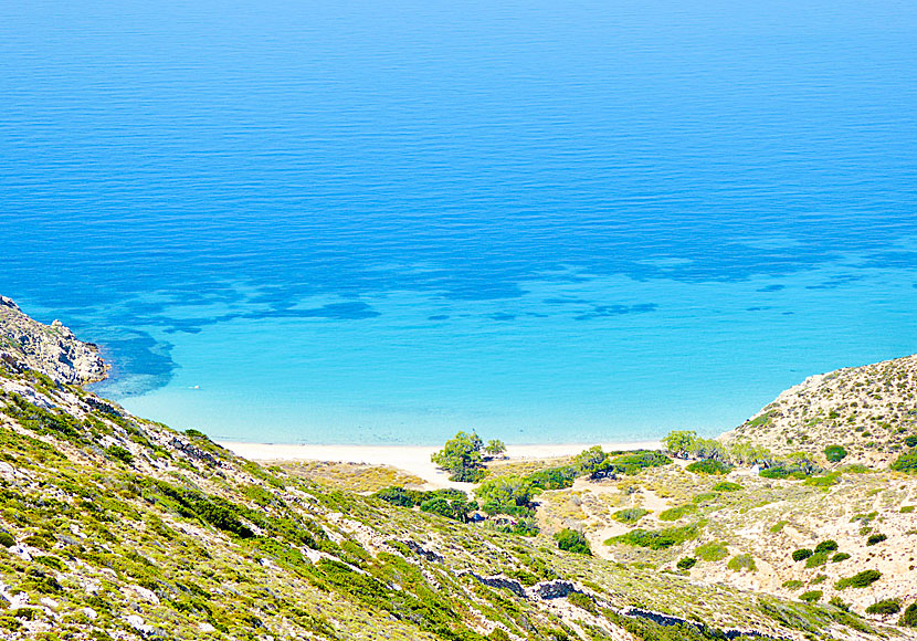 Till Livadi beach på Donoussa kan du åka badbåt eller gå längs en stig som börjar i Mersini.