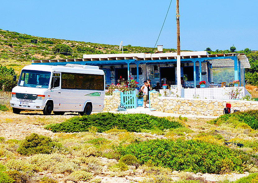 Slutstationen för bussen på Donoussa är vi den lilla tavernan Kalotaritissa.