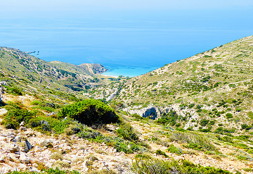 Till Livadi beach på Donoussa kan man åka badbåt eller vandra.