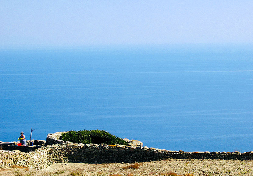 Muromgärdat citronträd  på Folegandros.