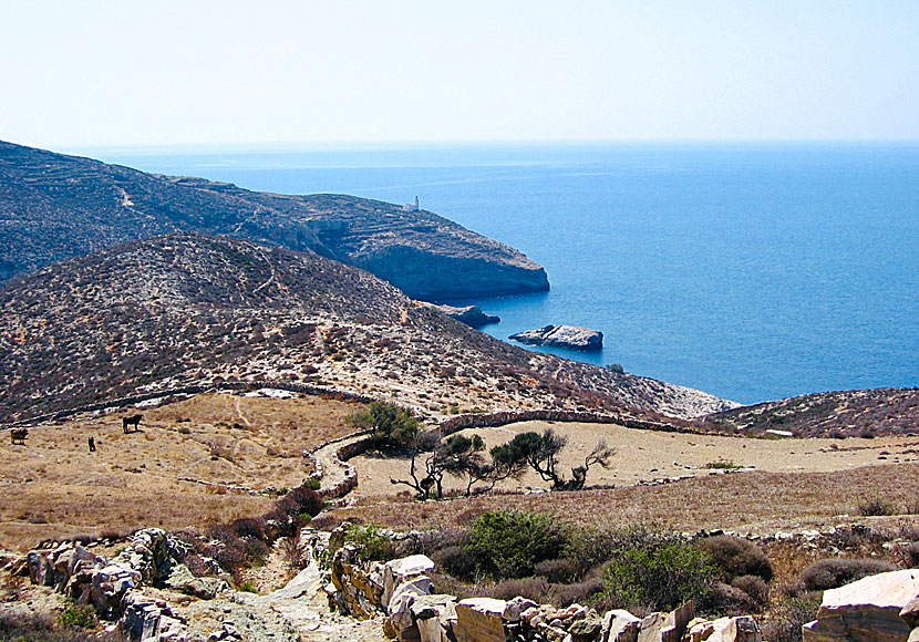 Vandra till nudiststranden Livadaki beach på Folegandros i Kykladerna. 
