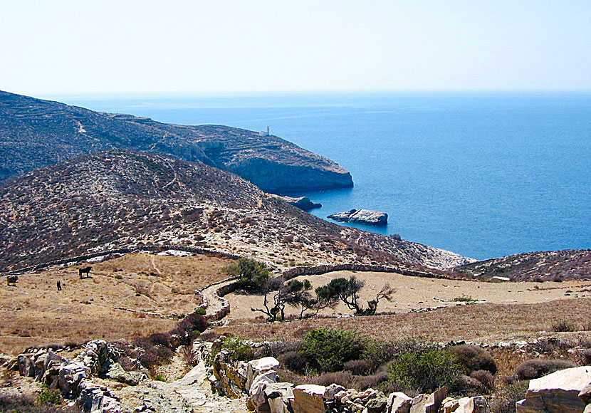 Vandra till Livadaki beach på Folegandros.