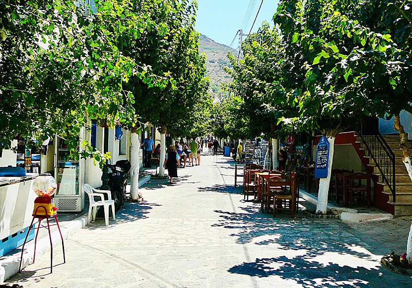 Den trivsamma huvudgatan med mullbärsträd i Fourni by.