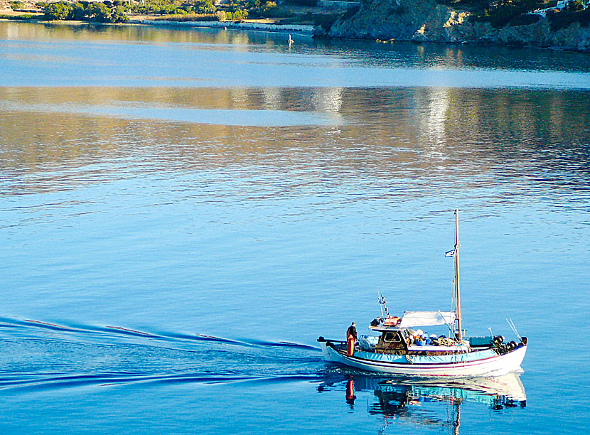 Tidigt på morgonen kommer fiskebåtar med färsk fisk in till hamnen i Katapola på Amorgos.