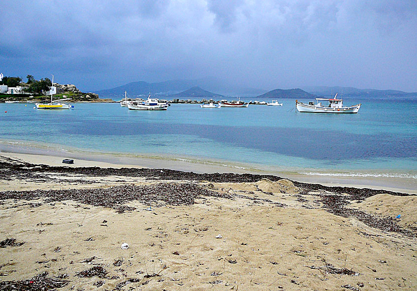 Agia Anna beach på Naxos i november.