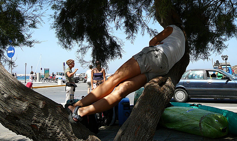 Naxos hamn under högsäsong i augusti.