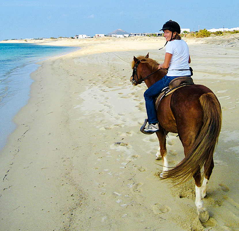 Horse riding along the beaches in Naxos, Greece.