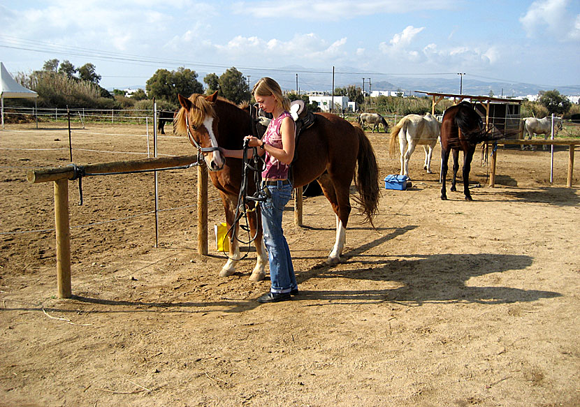 Stamatis Horseriding Centre. Naxos.