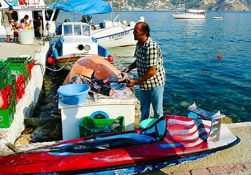 Svärdfisk som är fiskad utanför Karpathos i Grekland.