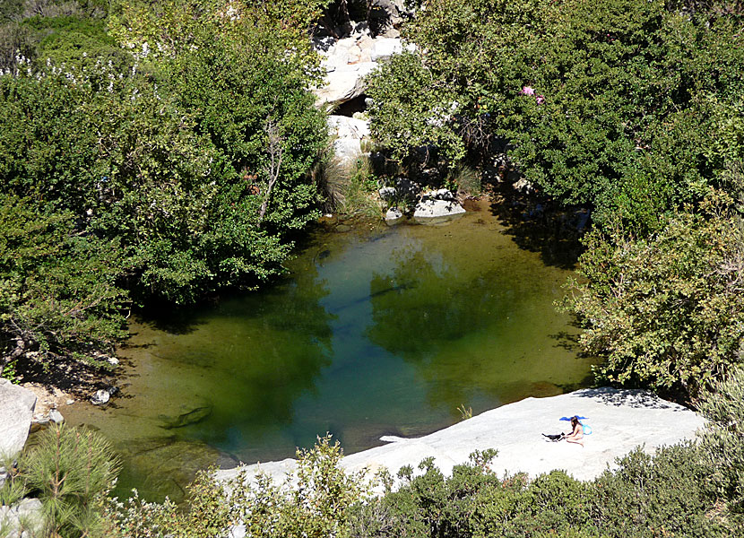 Halaris ovanför Nas på Ikaria.